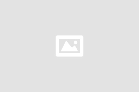 SIBATA Medium-sized rotary evaporator R-220 Pro