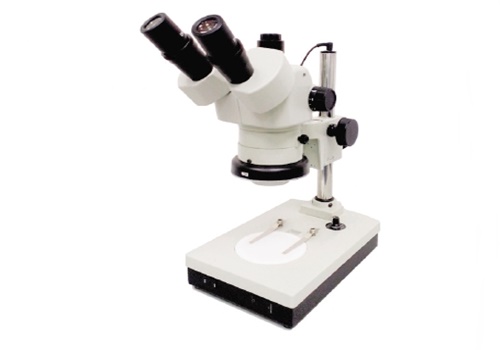 กล้องจุลทรรศน์ กล้องส่องขยาย Carton stereo microscopes spz-50jpitf-led