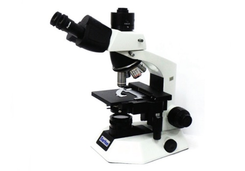 กล้องจุลทรรศน์ กล้องส่องขยาย Carton industrial biologinal microscopes cgt-15