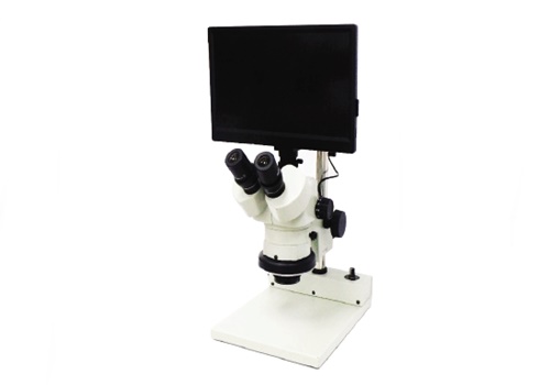 กล้องจุลทรรศน์ กล้องส่องขยาย Carton stereo microscopes xr 9024