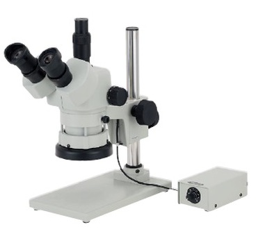 กล้องจุลทรรศน์ กล้องส่องขยาย กล้องไมโครสโครป Carton stereo microscope dszt-70sbgm