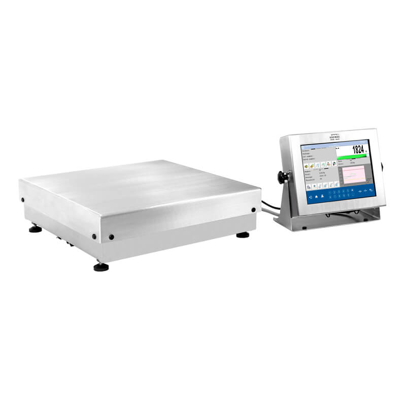 เครื่องชั่ง RADWAG HY10.120.HRP High Resolution Scale