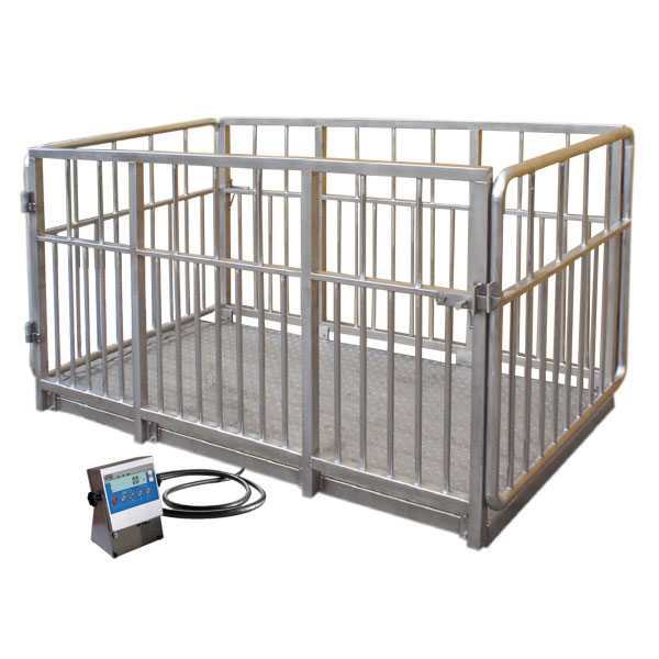 เครื่องชั่ง RADWAG WPT-4I 2000 H1 Livestock Scale