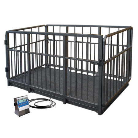 Weight scale radwag wpt-4i 2000 s1
