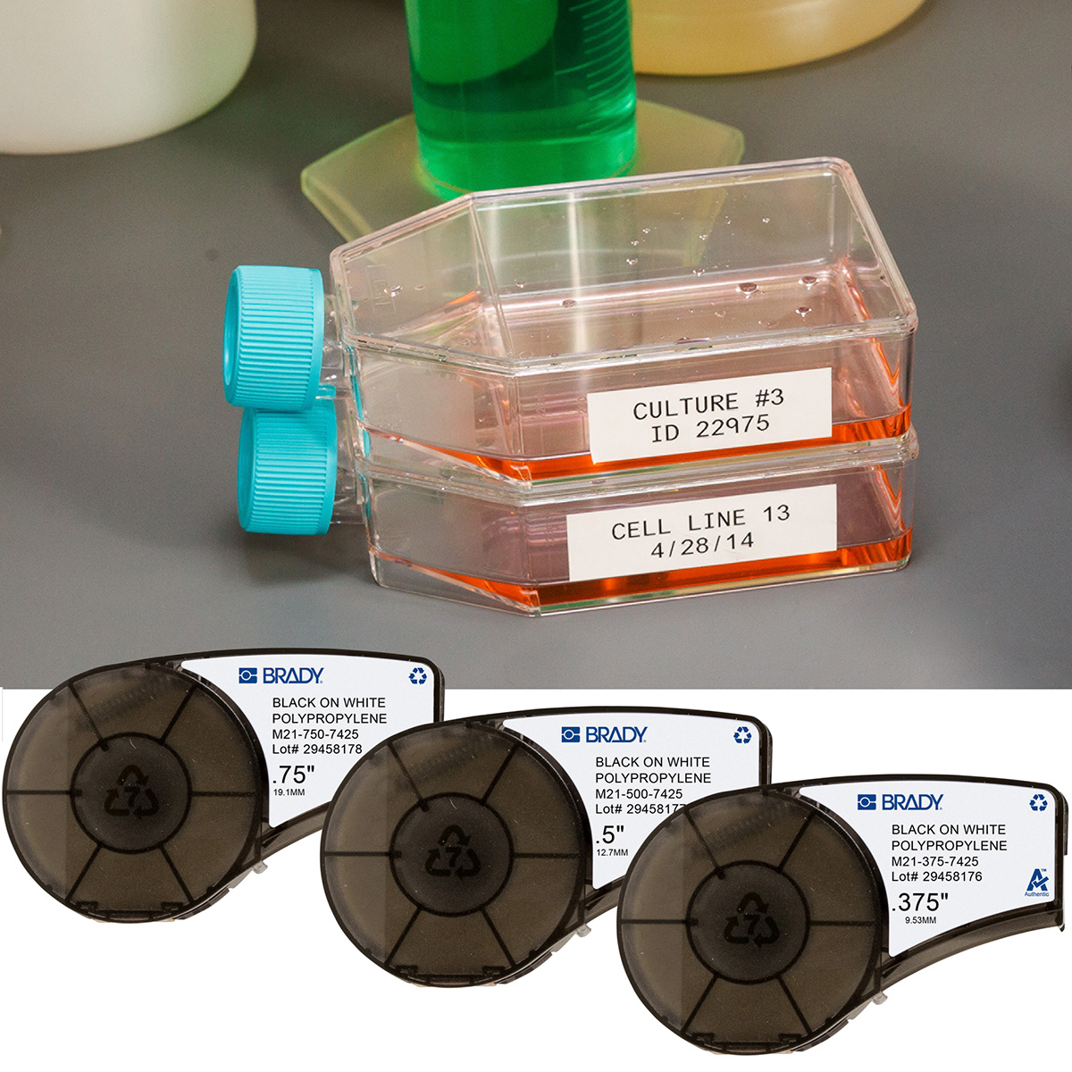 ลาเบลทนสารเคมีและอุณหภูมิเบรดี้ Brady labels bmp21 plus