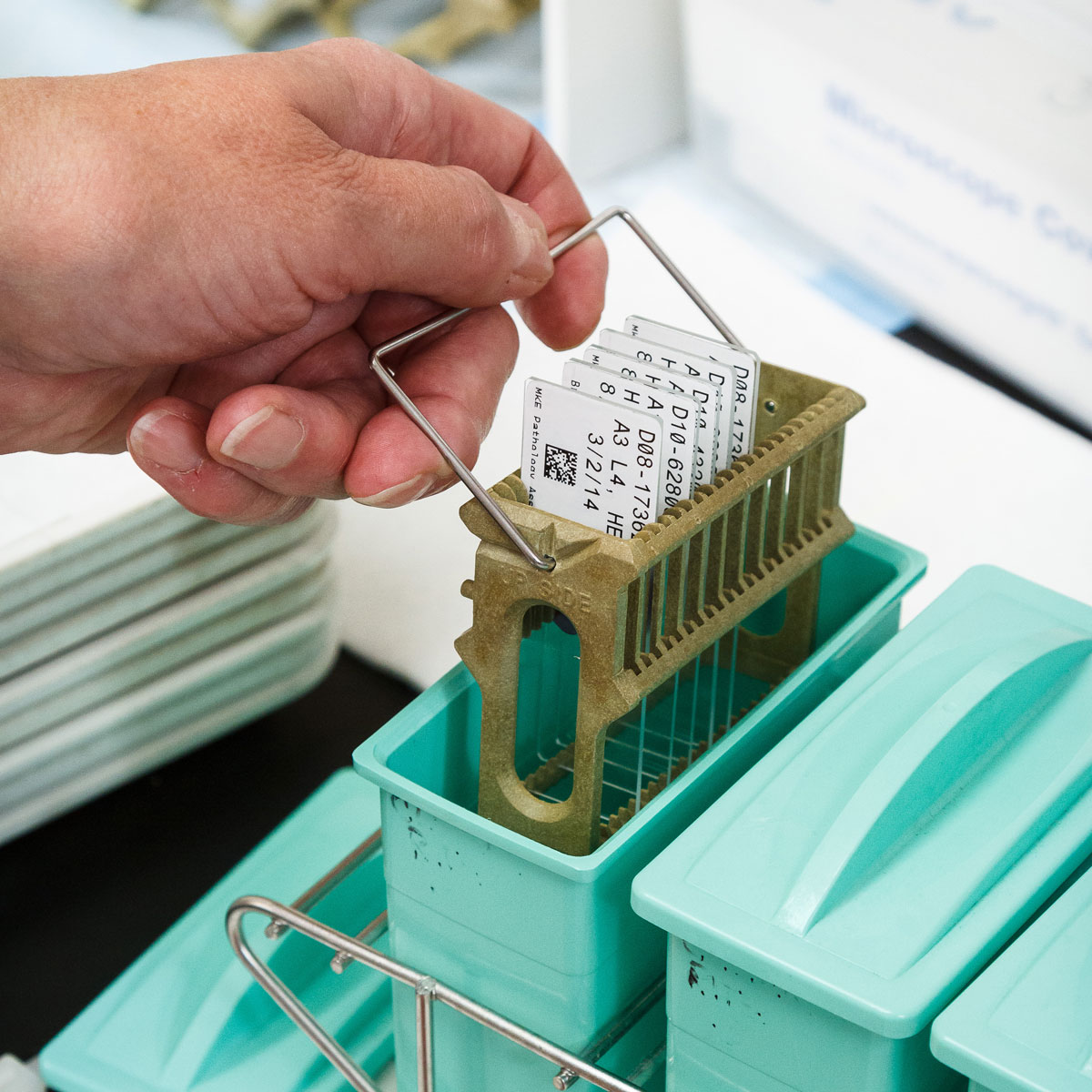 ลาเบลติดกระจก Brady polyester microscope slide laboratory labels
