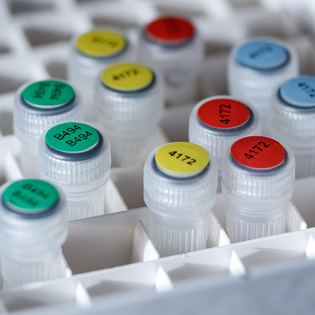 ลาเบลติดหลอดทดลอง Brady color polyester vial and tube Labels