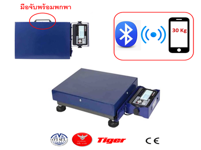 เครื่องชั่งพกพาสำหรับธุรกิจขนส่ง tss-01